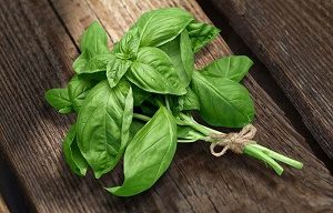 ماسک های صورت در طب سنتی آیورودا